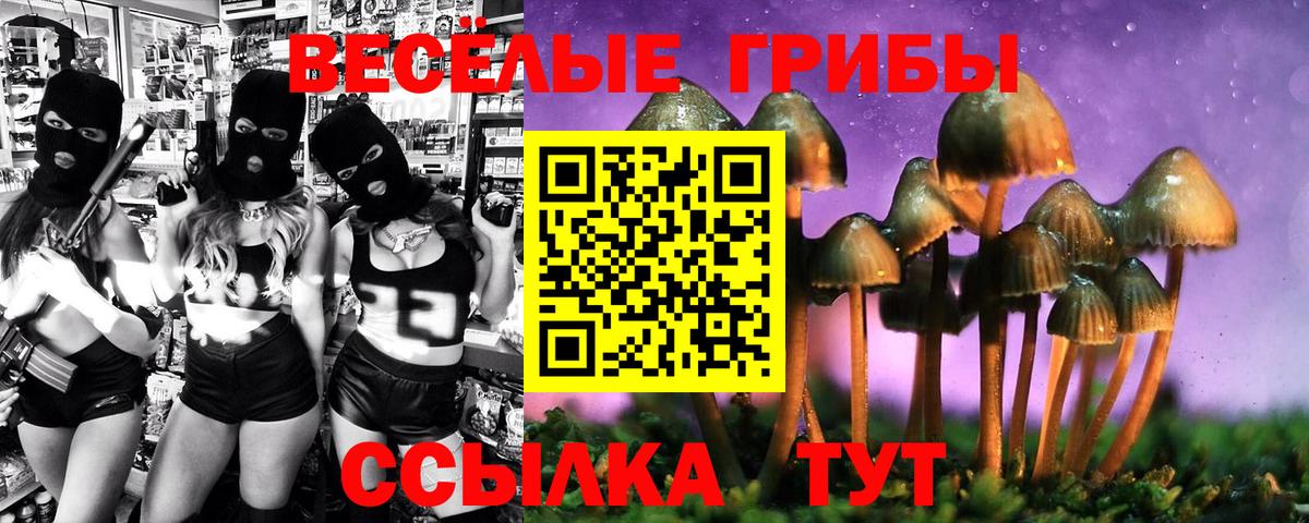 Унеча  купить  цена  Вход с VPN  Галлюциногенные грибы прущие грибы 